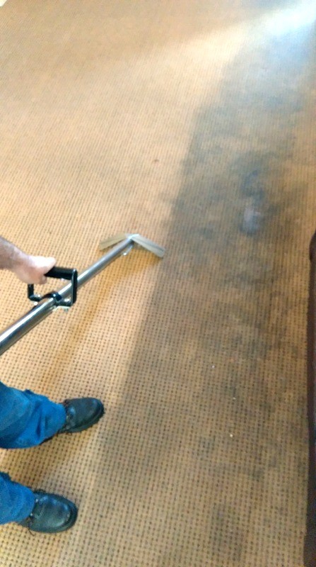 Carpet cleaning - showing before and after areas - by Donegal Cleaning Services, Ireland