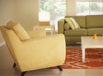 Upholstery Cleaning